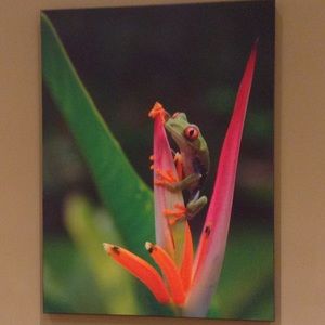 Meet your Posher, Faena